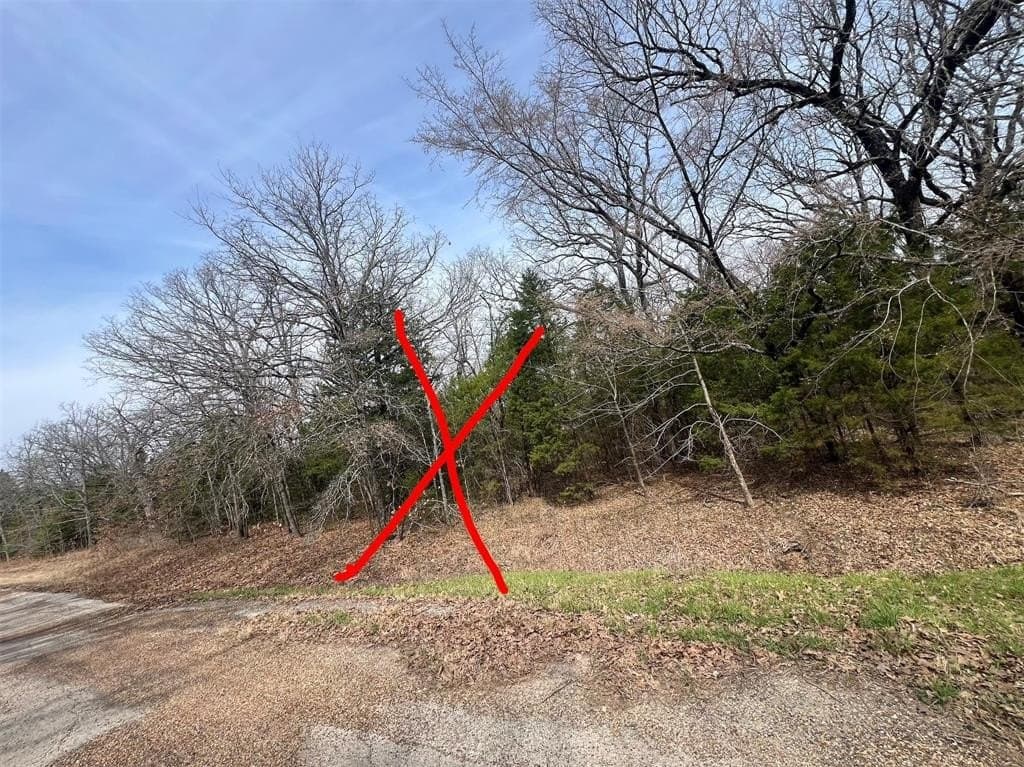 0.07 acres in Henderson County gallery image 3