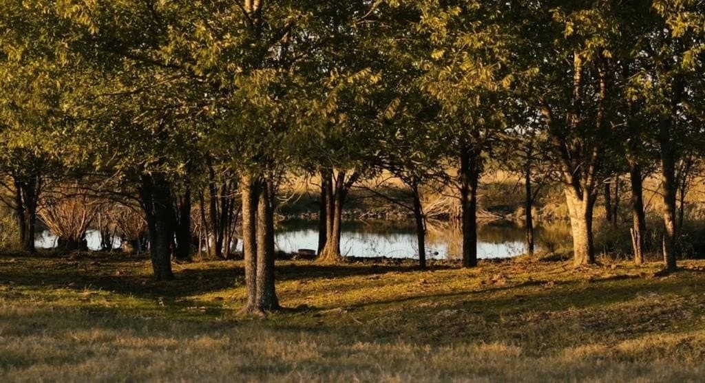 160.73 acres in Ellis County - photo 6