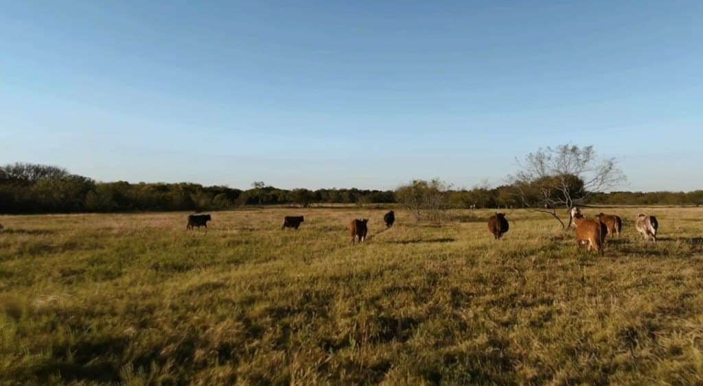 160.73 acres in Ellis County - photo 8