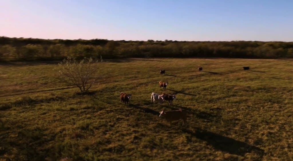 160.73 acres in Ellis County - photo 11