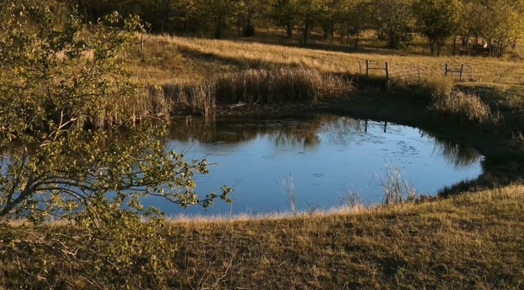 160.73 acres in Ellis County - photo 7
