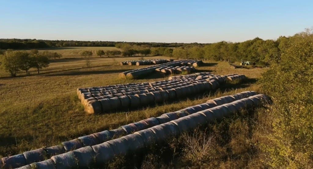160.73 acres in Ellis County - photo 16