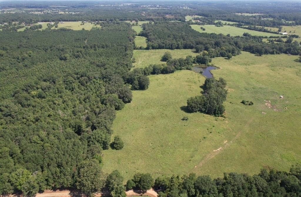 50 acres in Shelby County gallery image 3