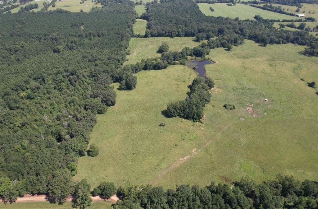 50 acres in Shelby County gallery image 4