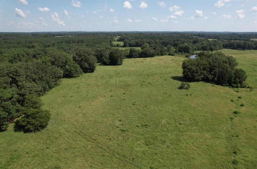 50 acres in Shelby County gallery image 2