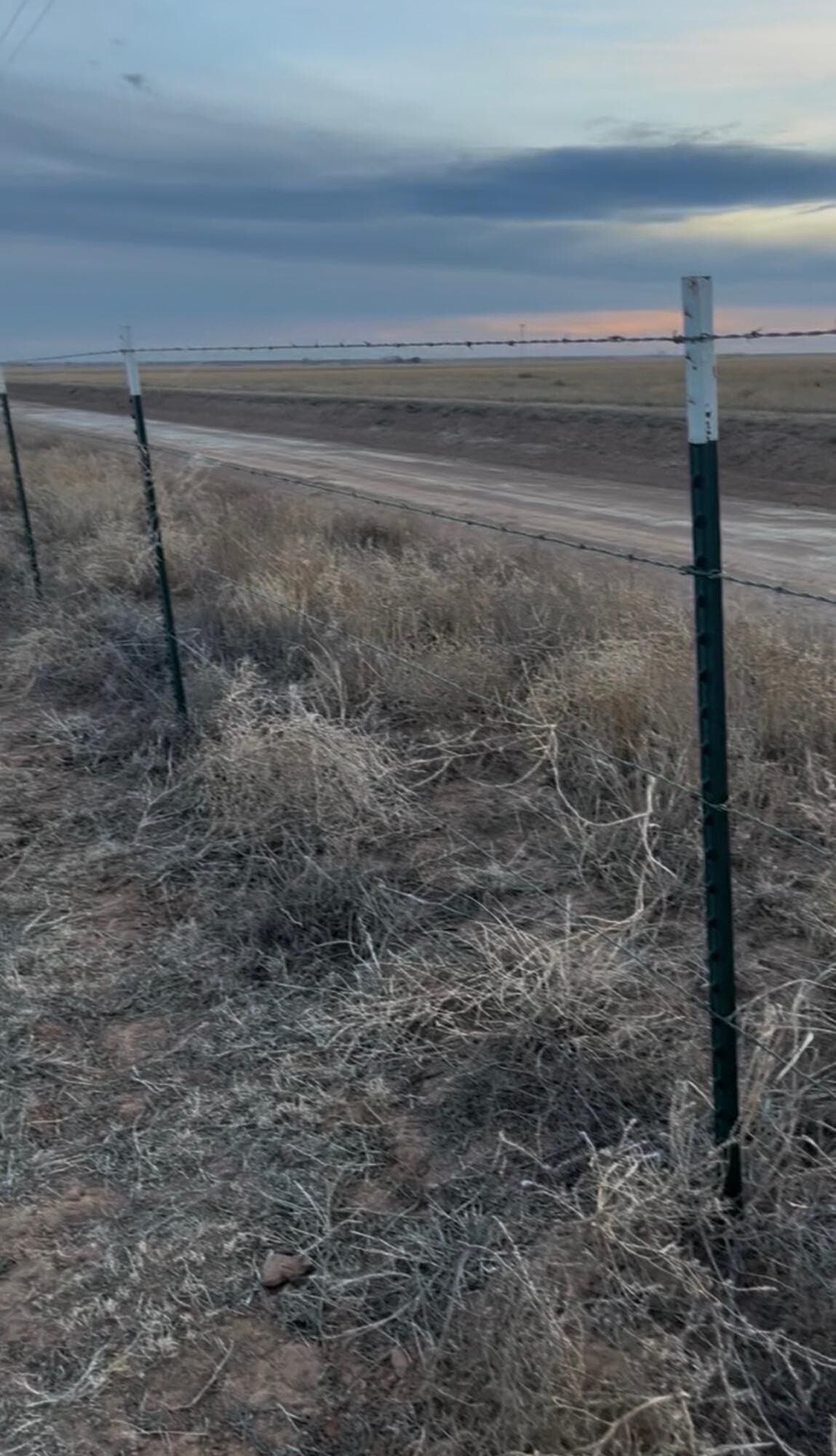 154.18 acres in Bailey County - photo 2