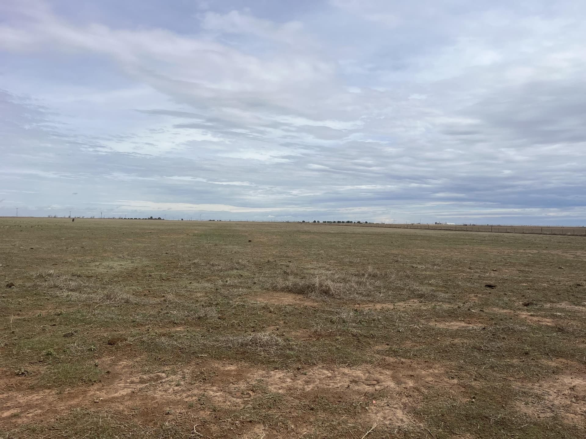 154.18 acres in Bailey County - photo 3