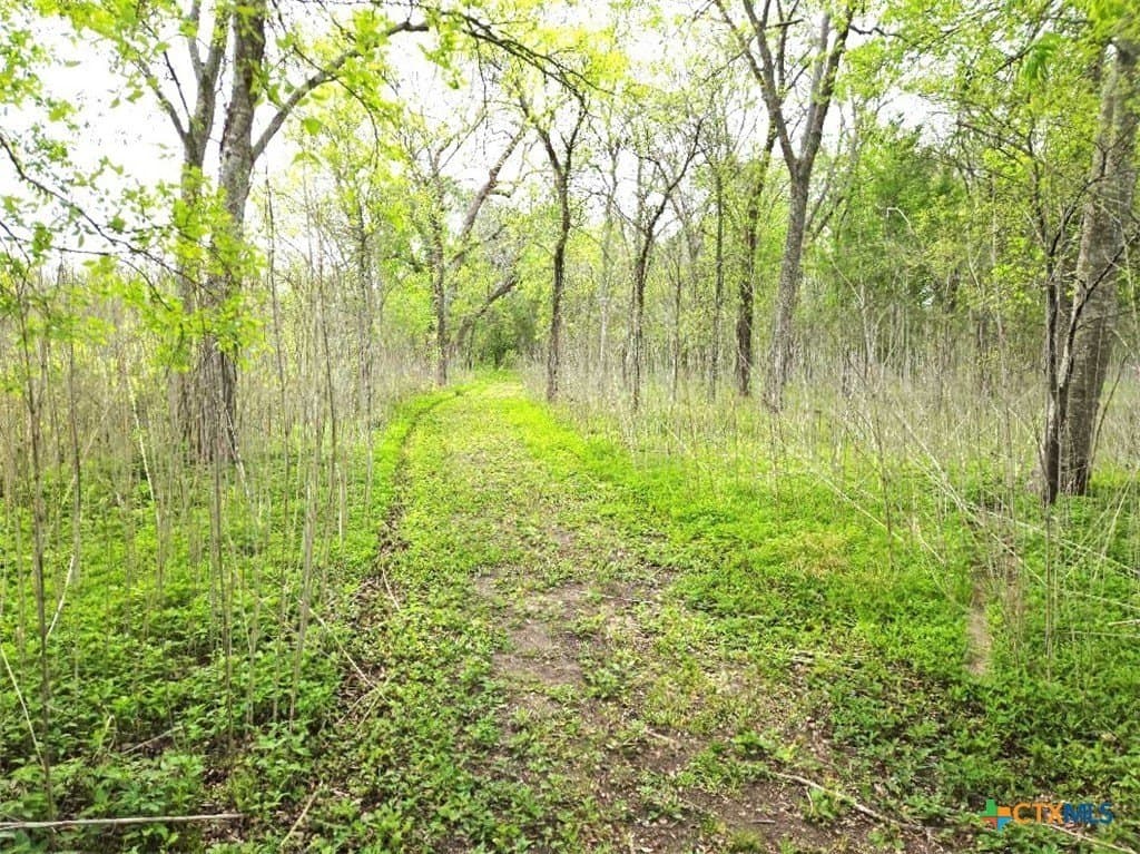 5.51 acres in Victoria County - photo 15