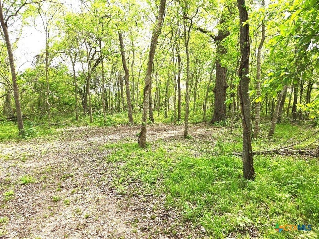 5.51 acres in Victoria County - photo 18