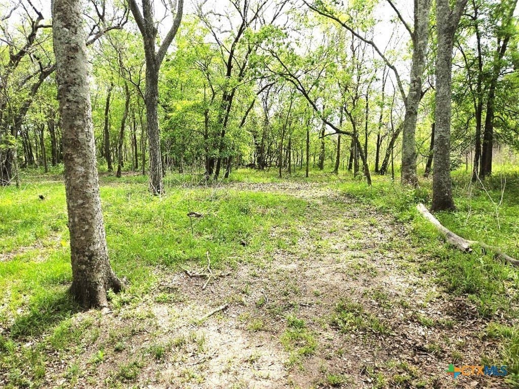 5.51 acres in Victoria County - photo 20