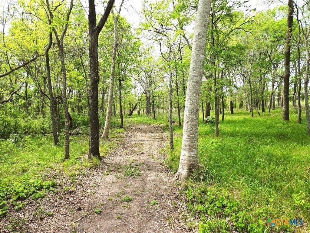 5.51 acres in Victoria County - photo 16