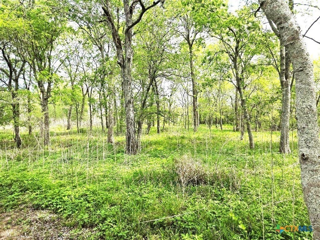 5.51 acres in Victoria County - photo 19