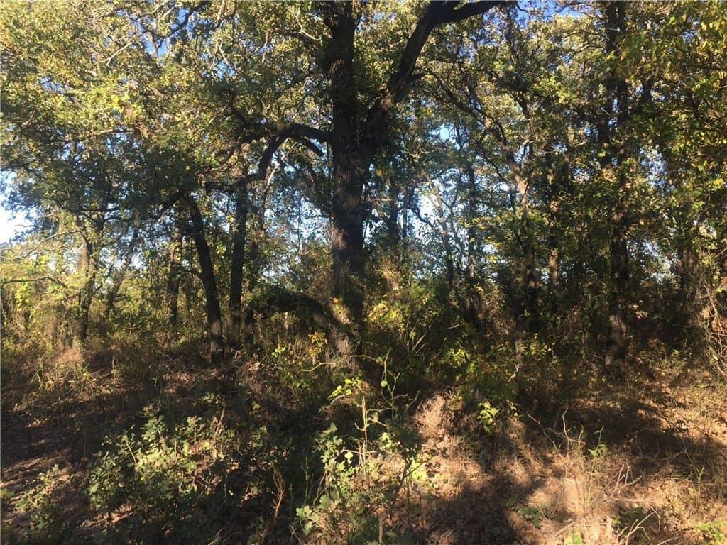 252.5 acres in Montague County - photo 3