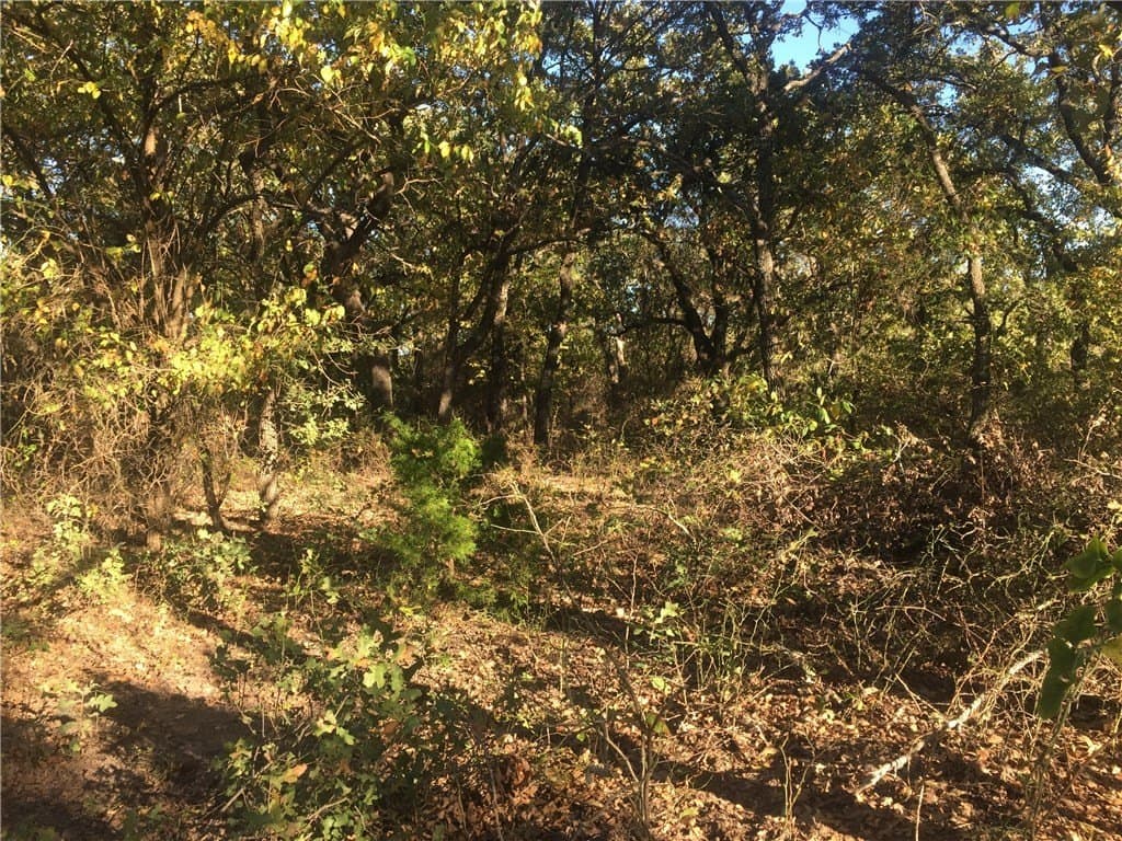 252.5 acres in Montague County - photo 2