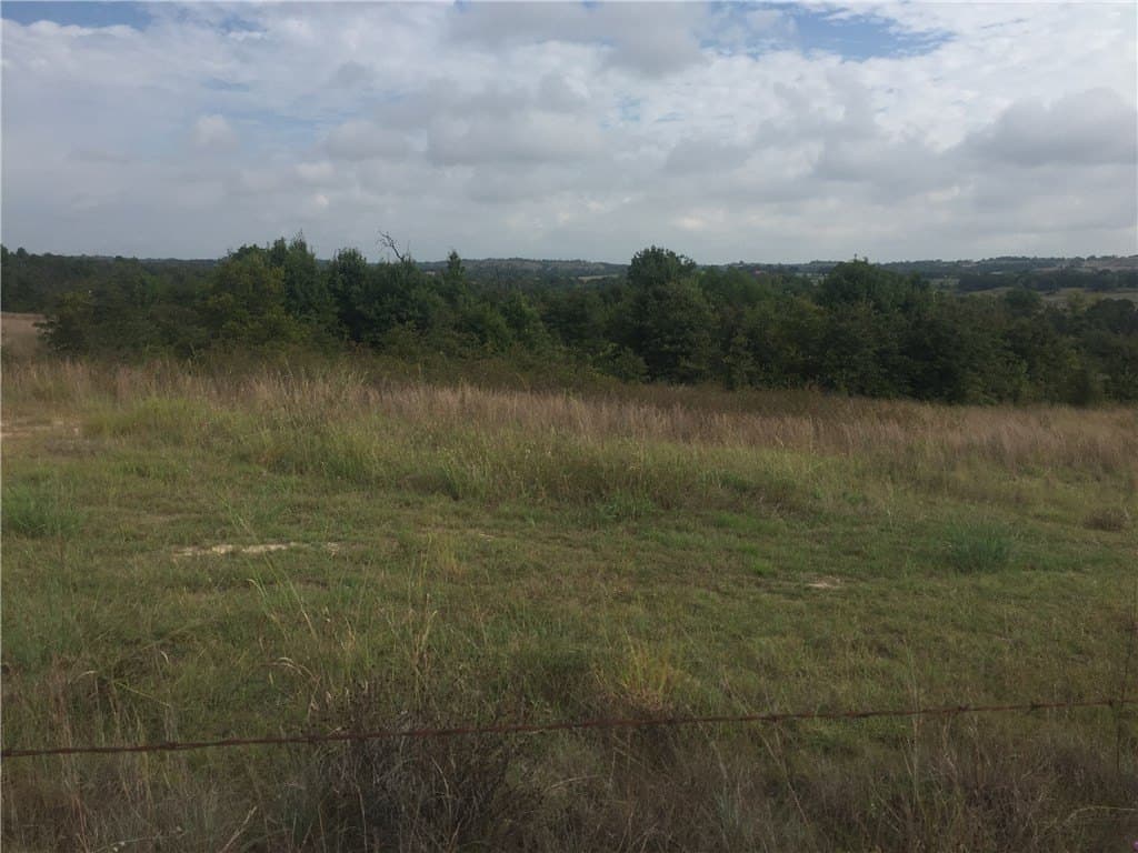 252.5 acres in Montague County - photo 6