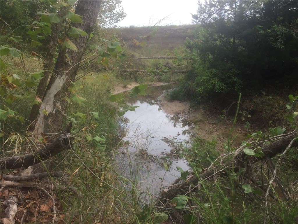 252.5 acres in Montague County - photo 9
