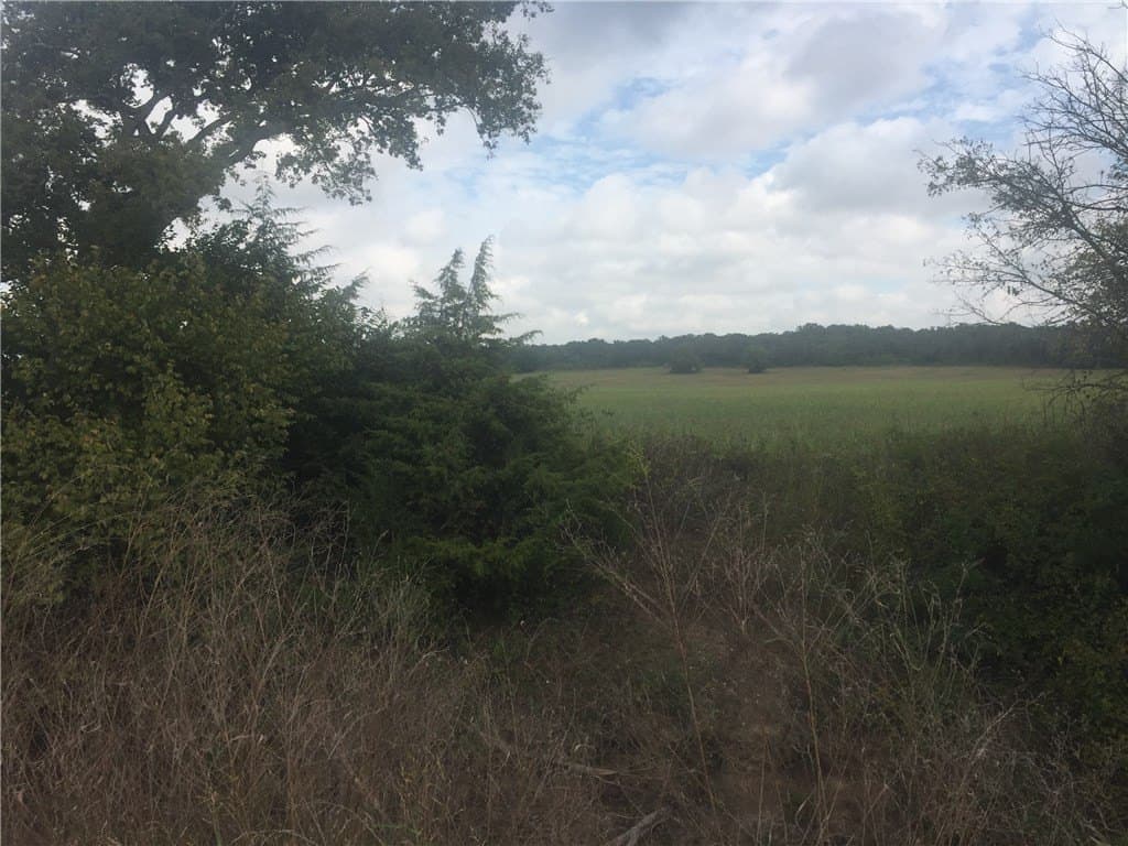 252.5 acres in Montague County - photo 10