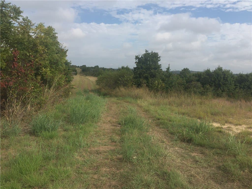 252.5 acres in Montague County - photo 8