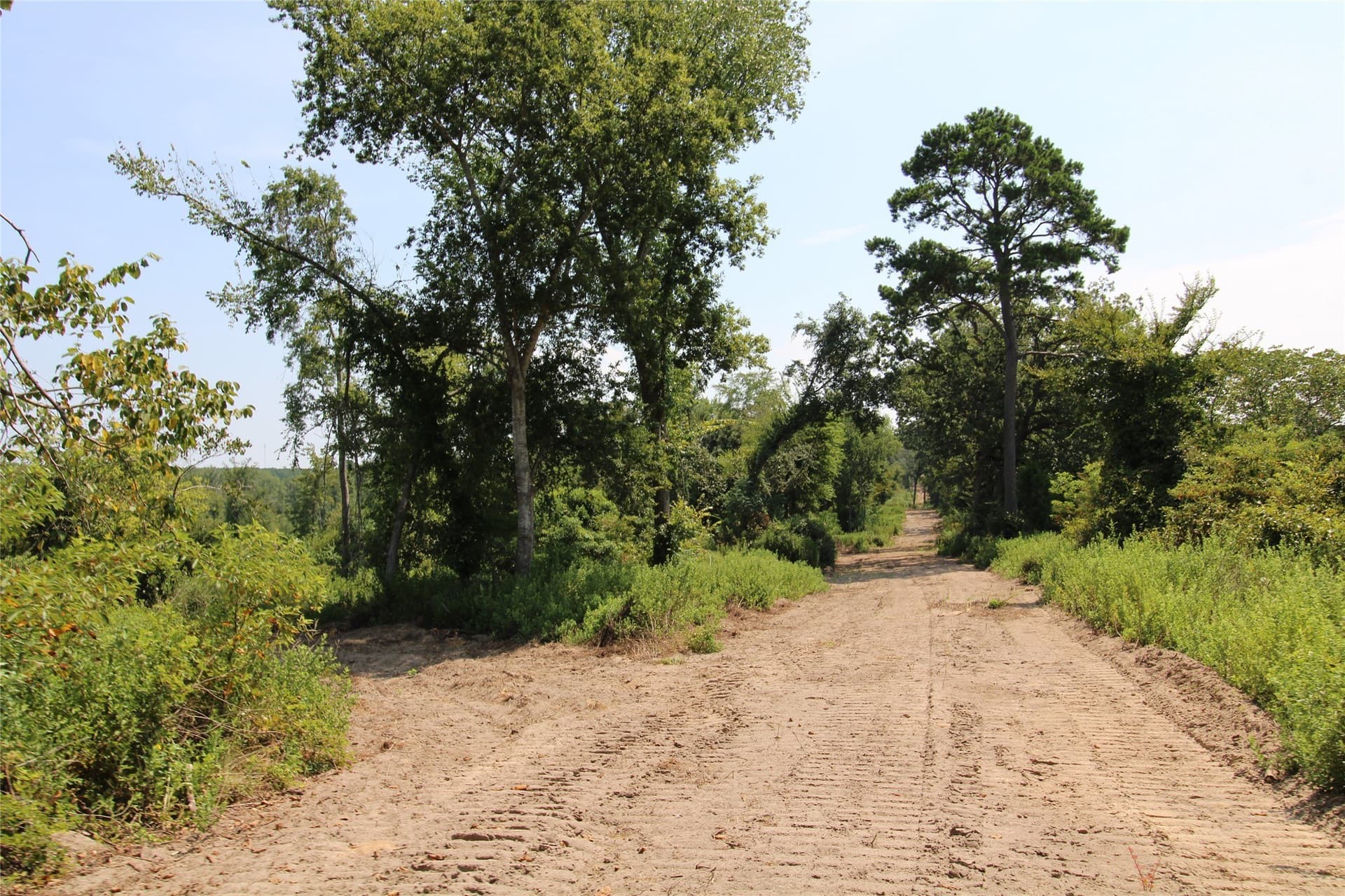 371.57 acres in Cherokee County - photo 9