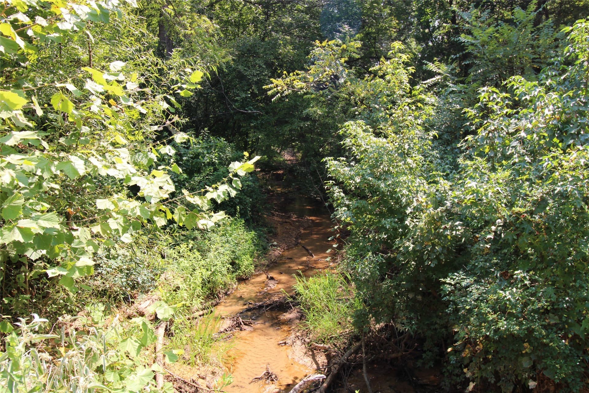 371.57 acres in Cherokee County - photo 8