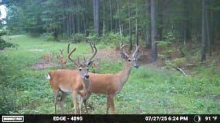 371.57 acres in Cherokee County - photo 14