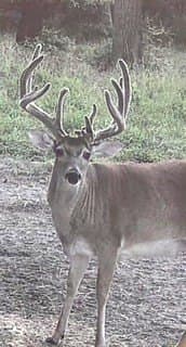 371.57 acres in Cherokee County - photo 2