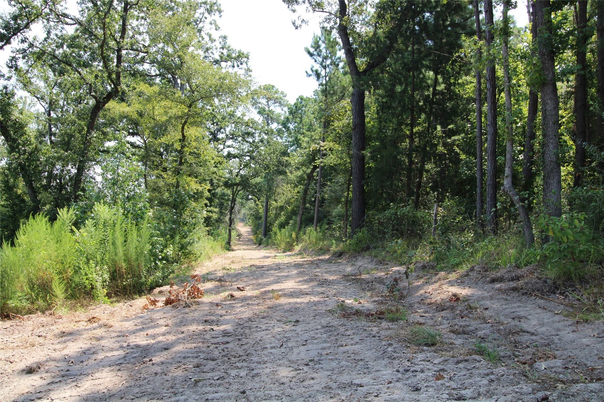 371.57 acres in Cherokee County - photo 10