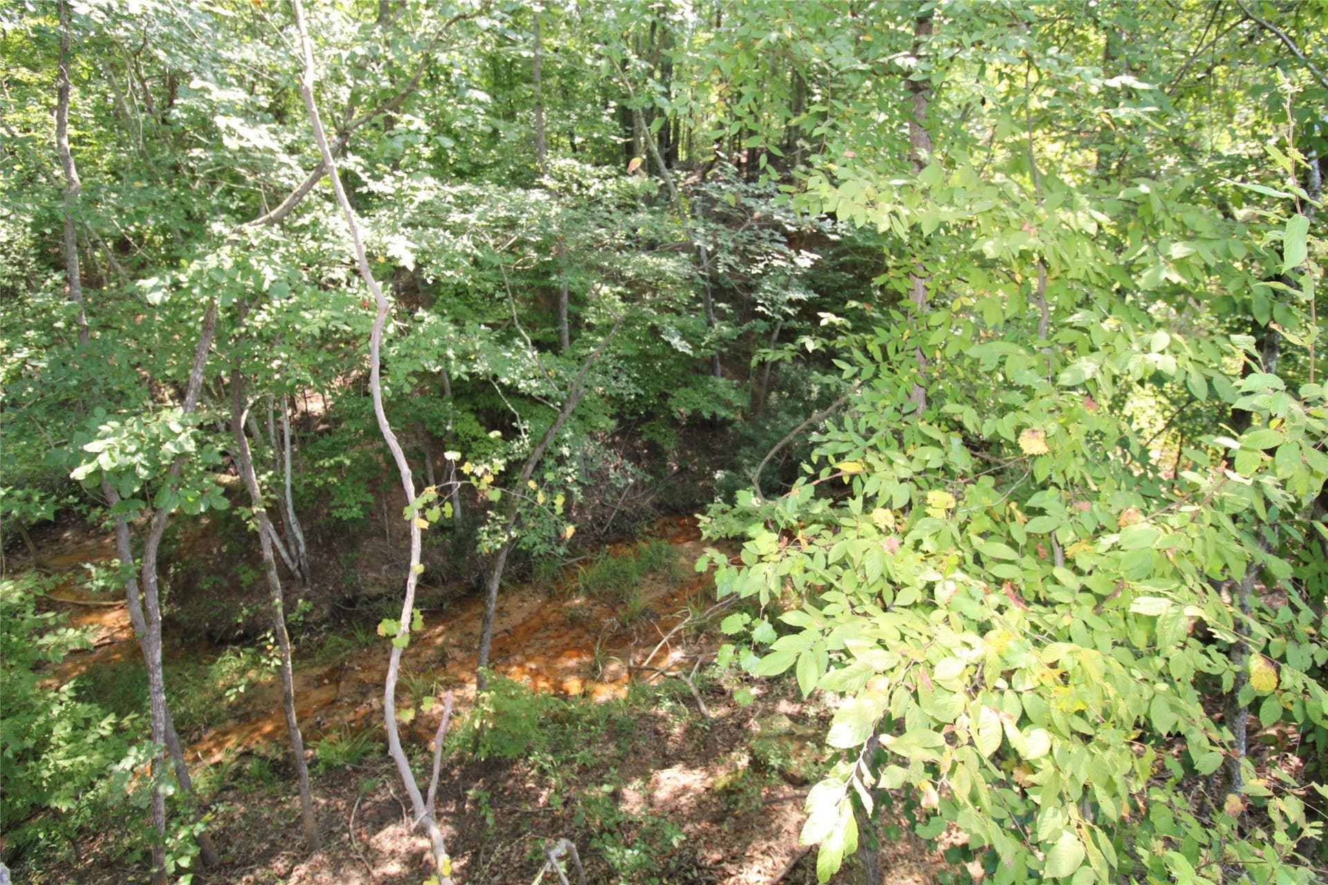 371.57 acres in Cherokee County - photo 12