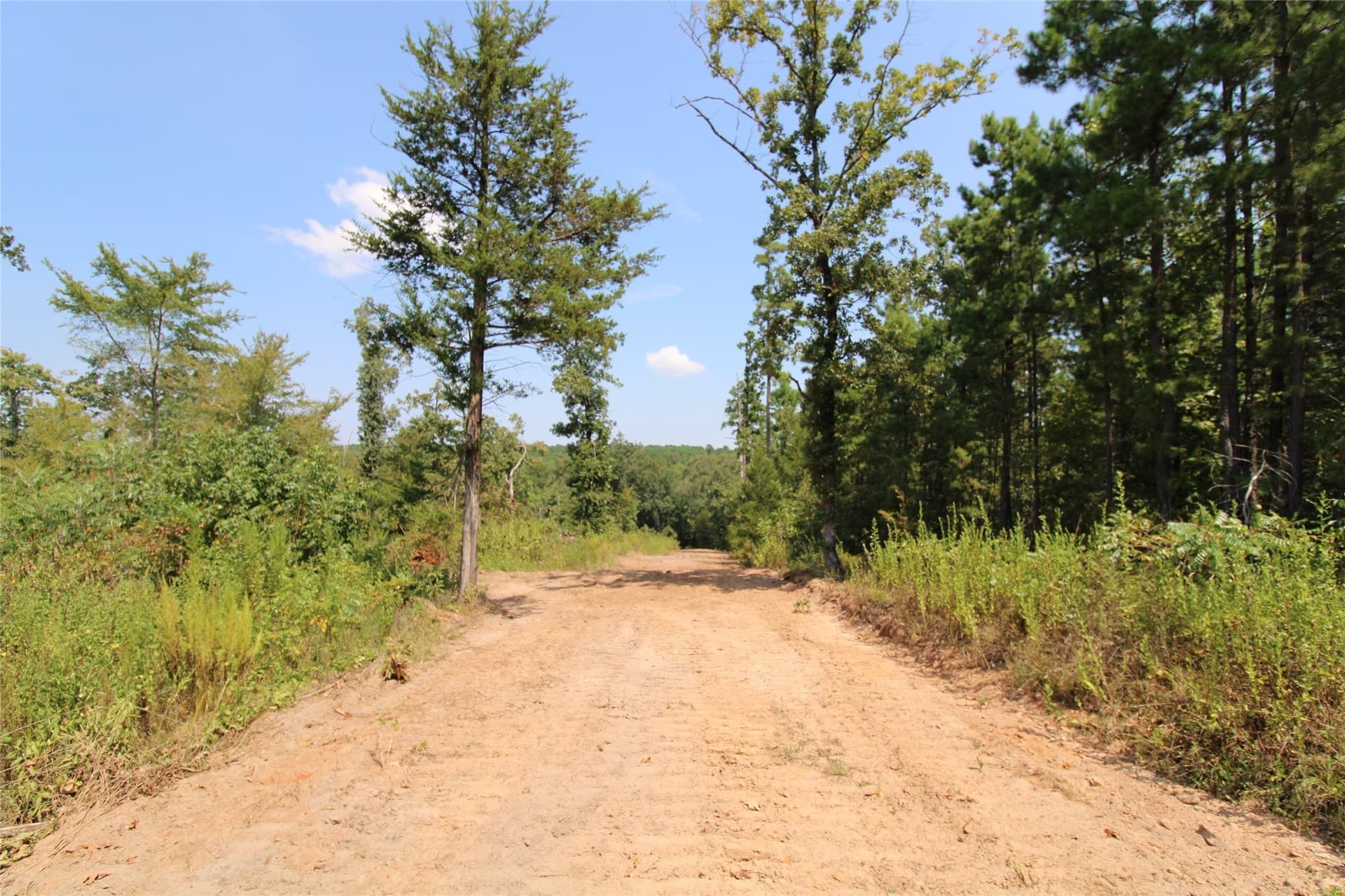 371.57 acres in Cherokee County - photo 11