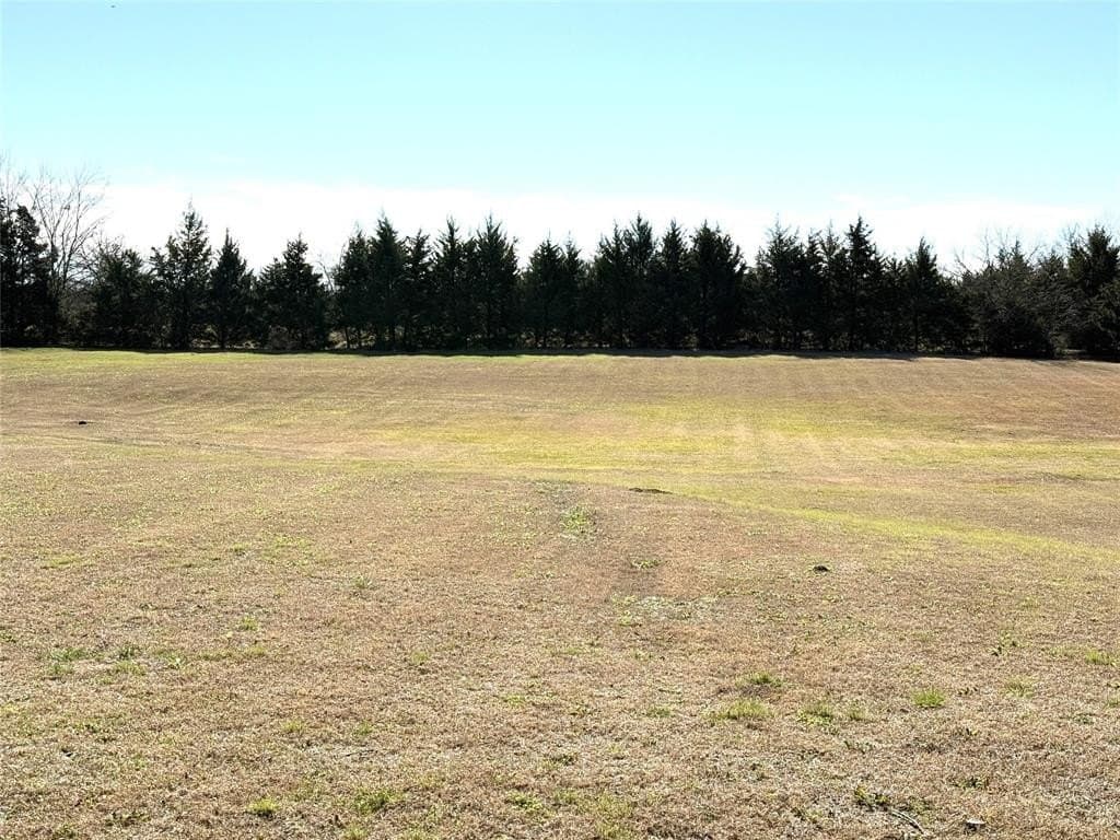 2.9 acres in Lamar County gallery image 4