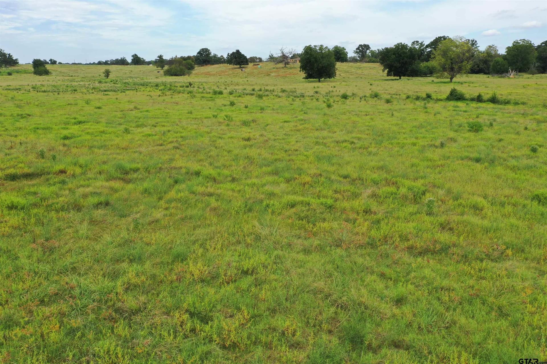 109 acres in Titus County featured view