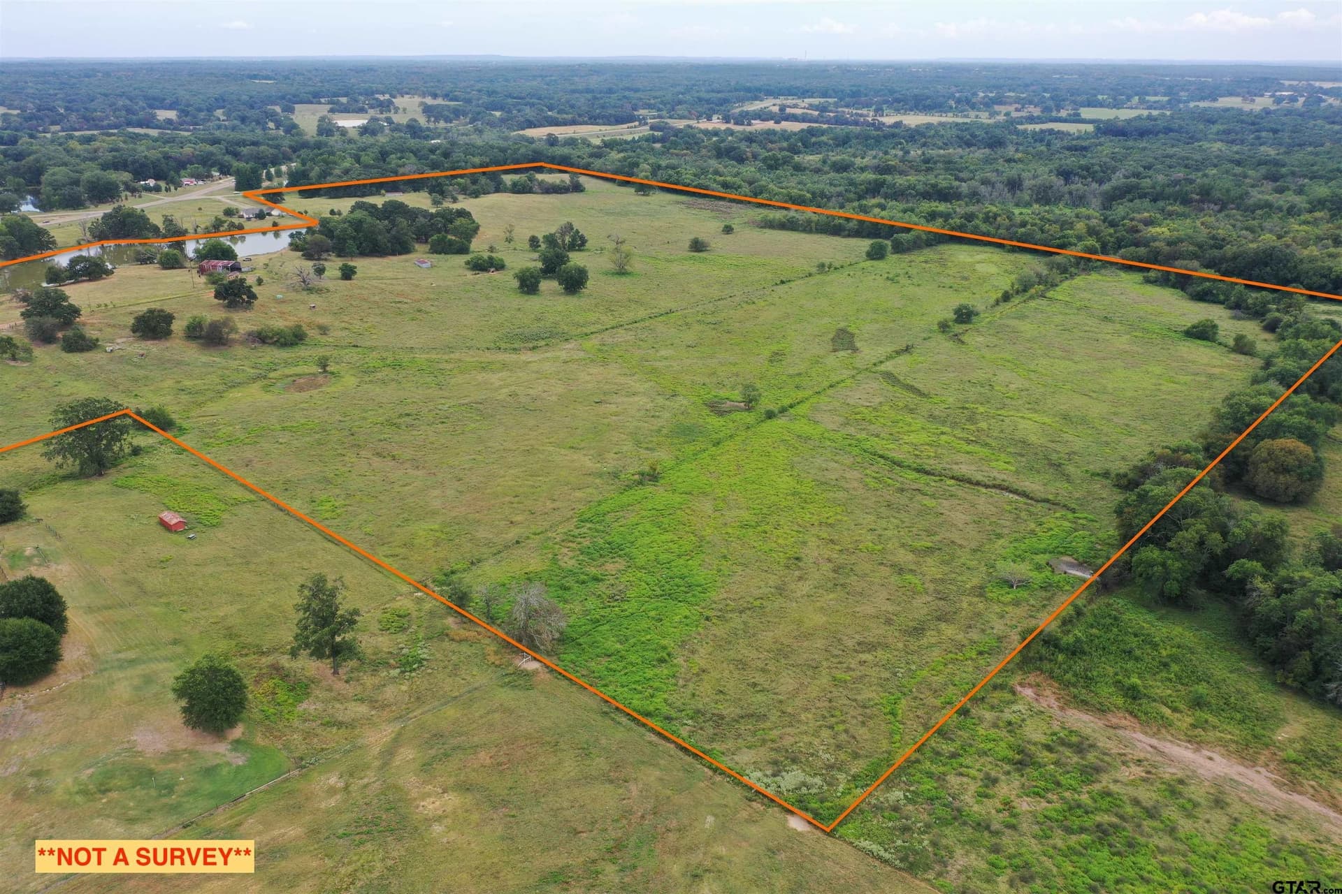109 acres in Titus County gallery image 3