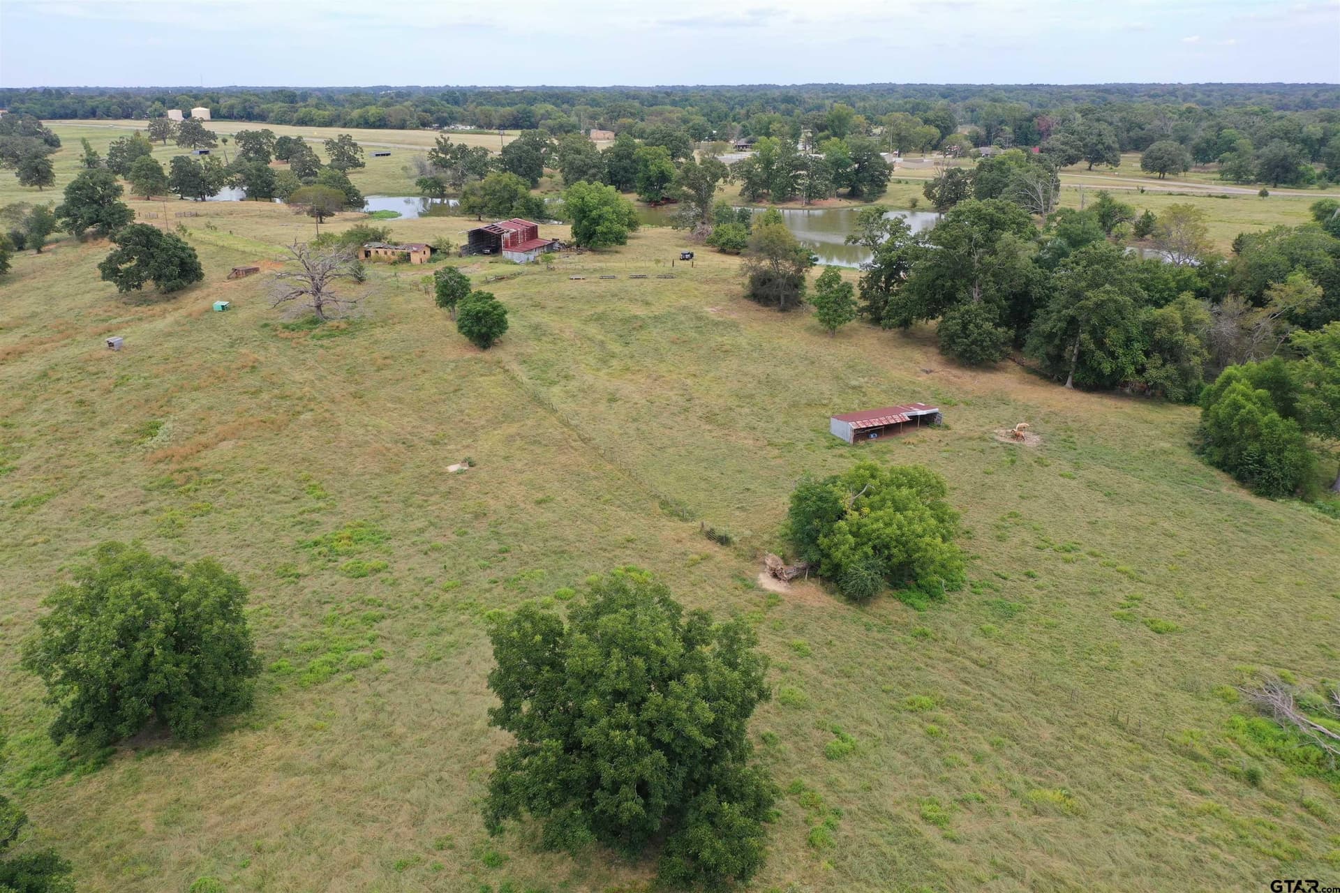 109 acres in Titus County gallery image 4