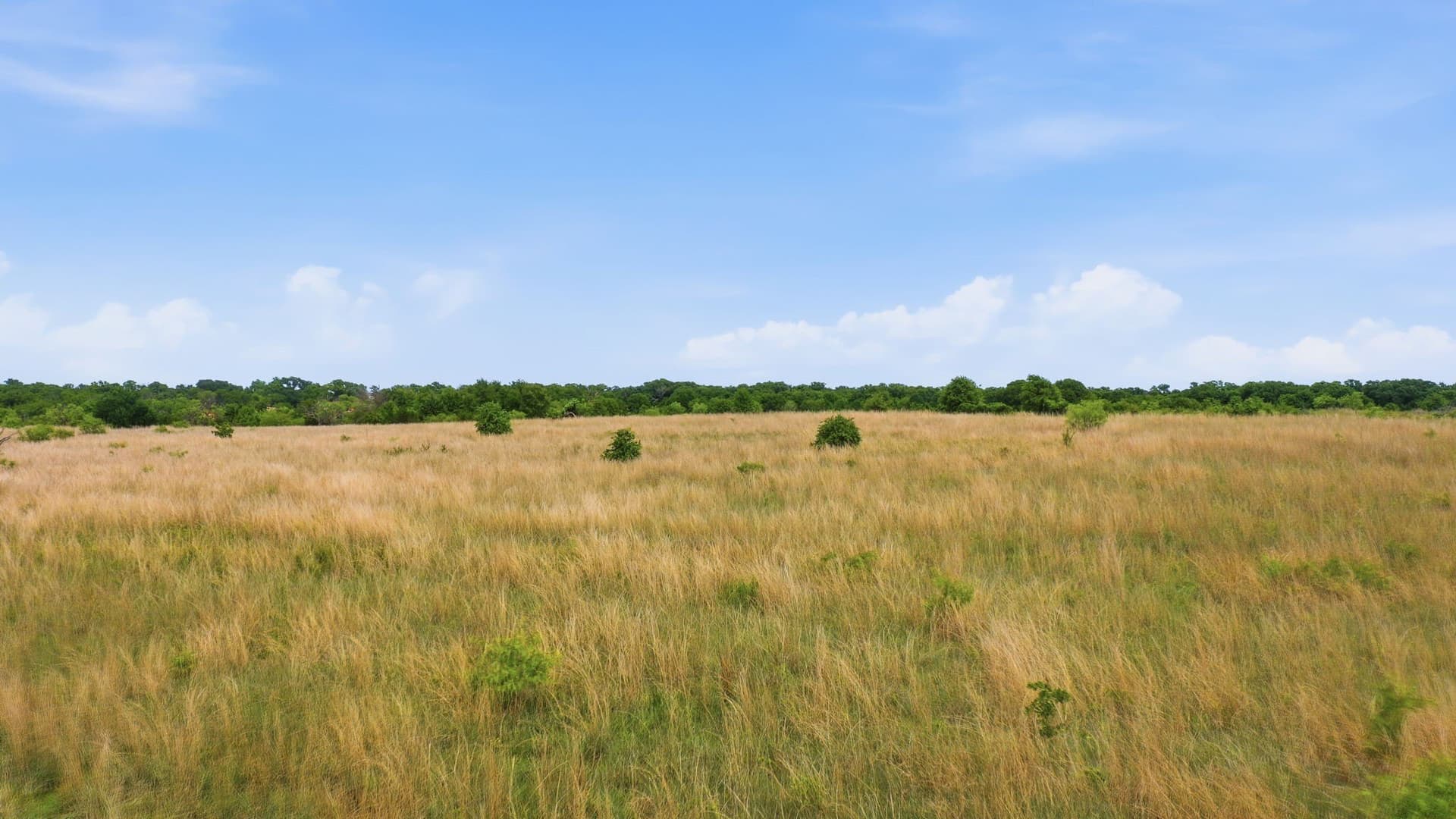 5.08 acres in Parker County - photo 15