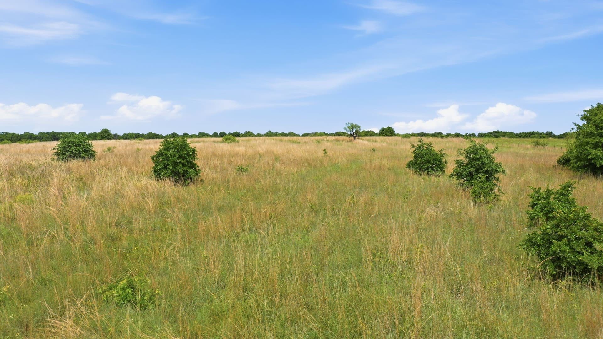 5.08 acres in Parker County - photo 25