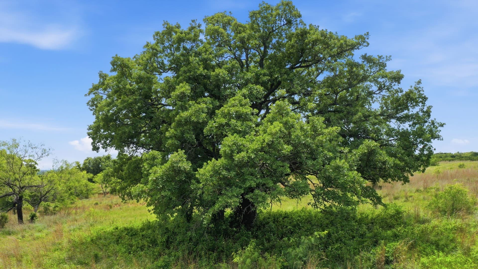 5.08 acres in Parker County - photo 22