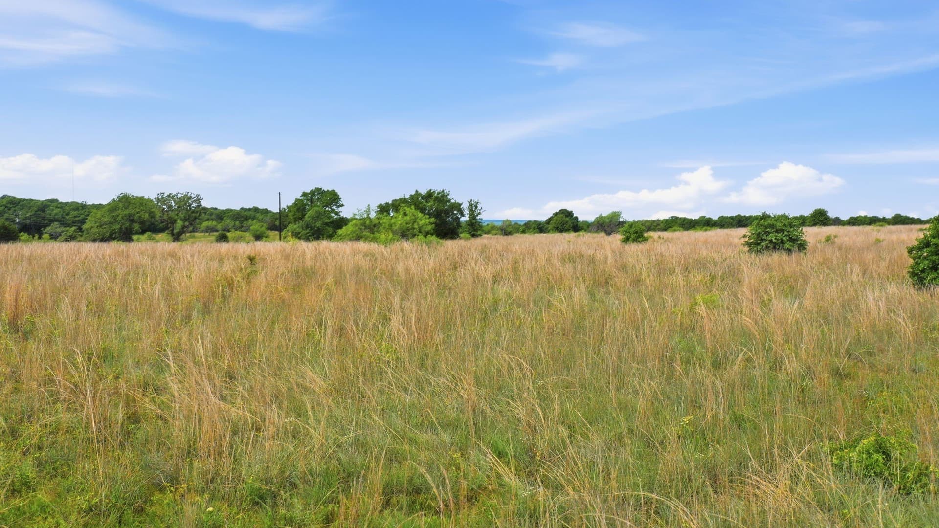 5.08 acres in Parker County - photo 24