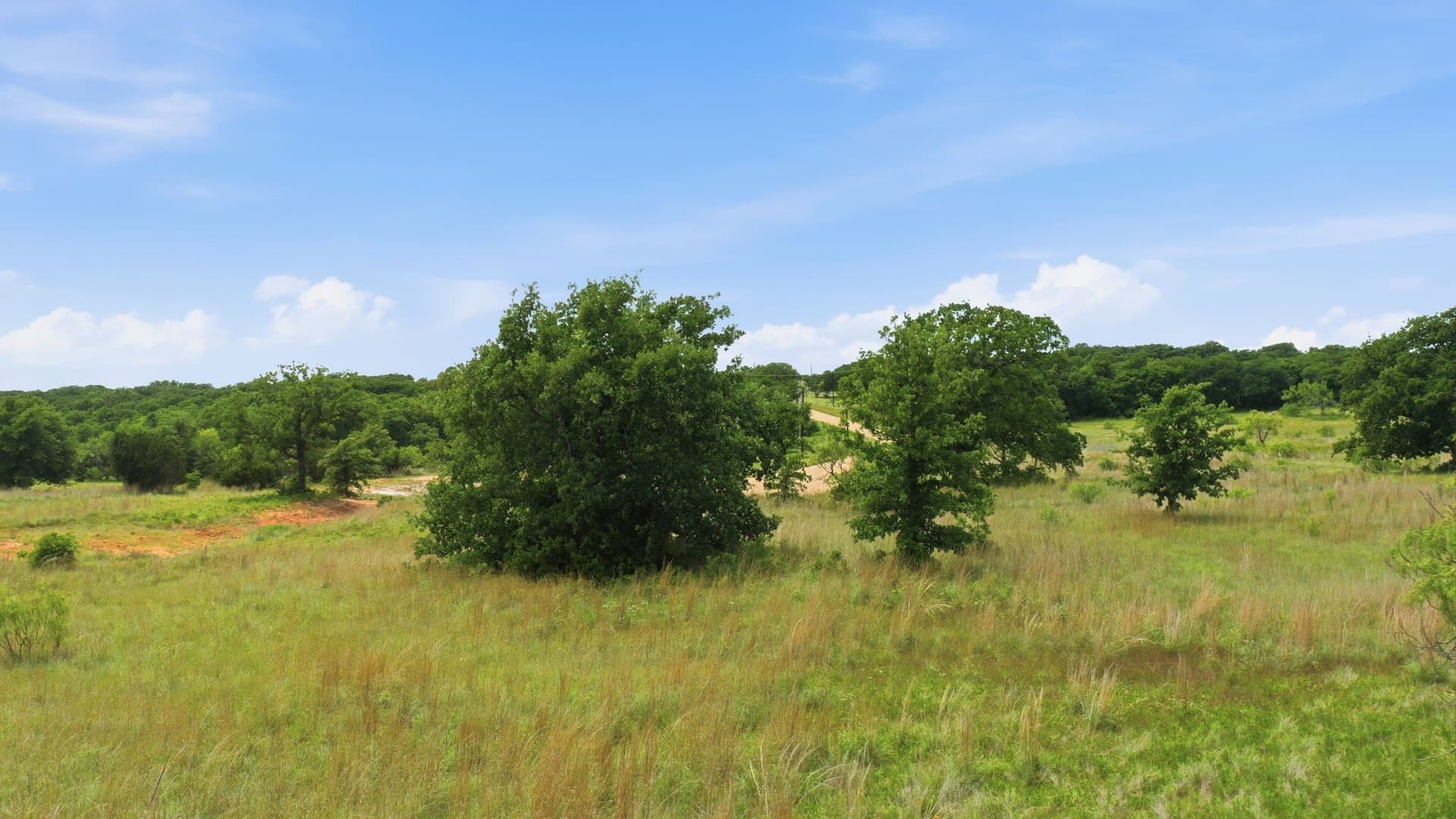 5.08 acres in Parker County - photo 14