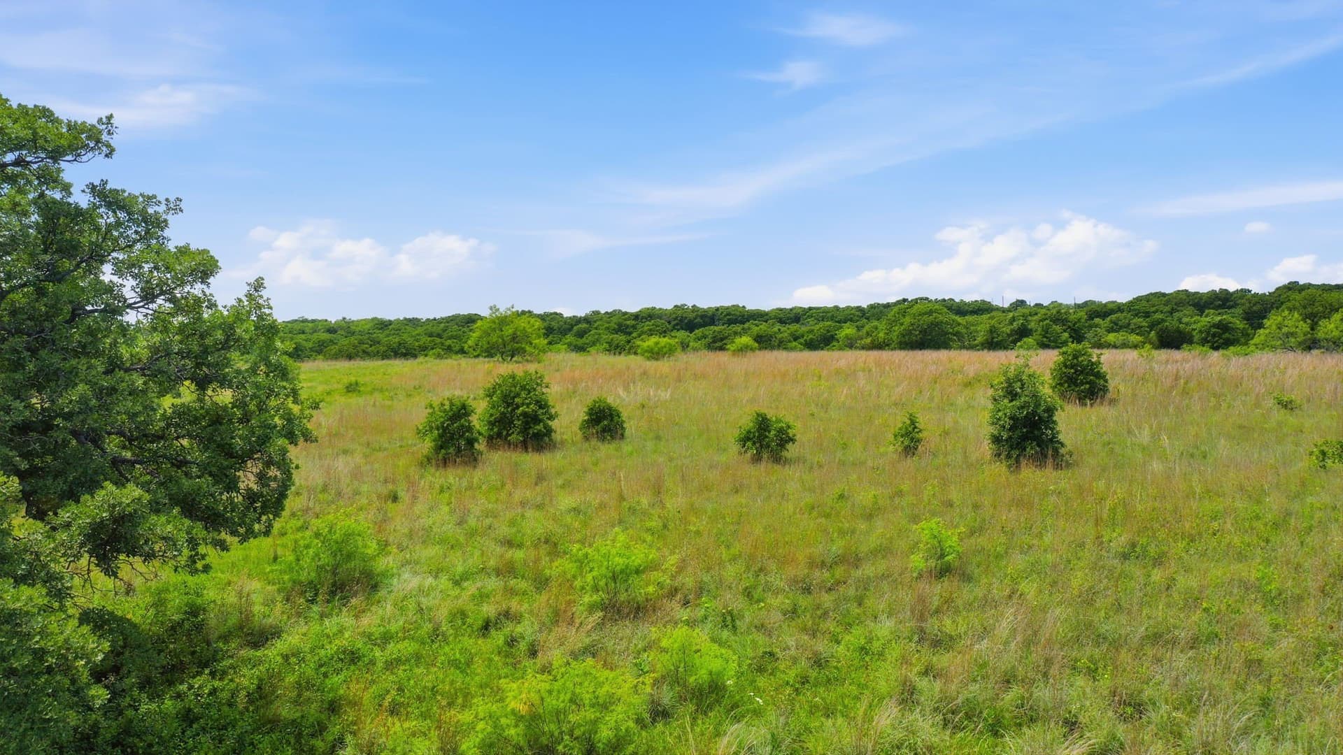 5.08 acres in Parker County - photo 23