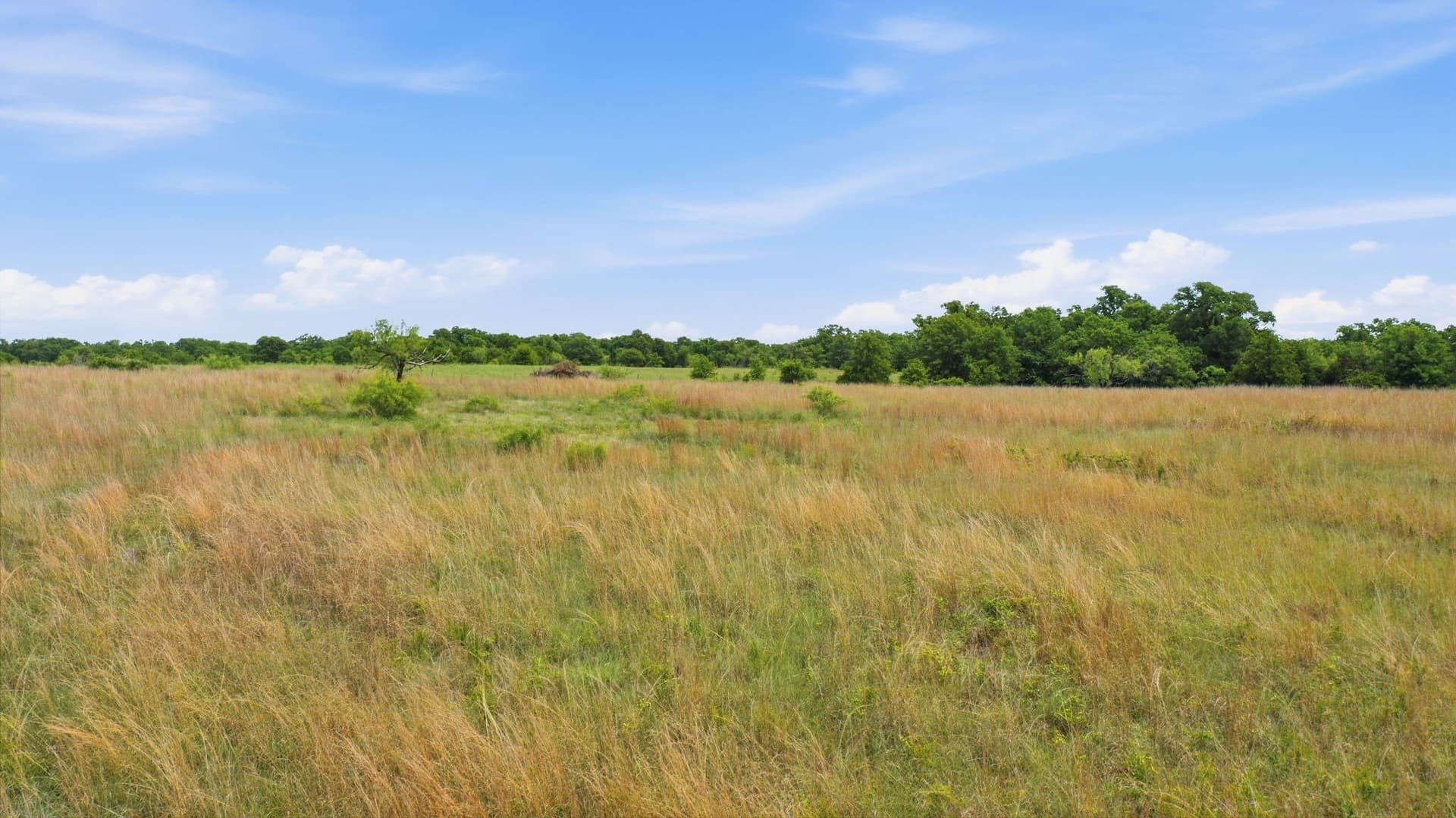 5.08 acres in Parker County - photo 12