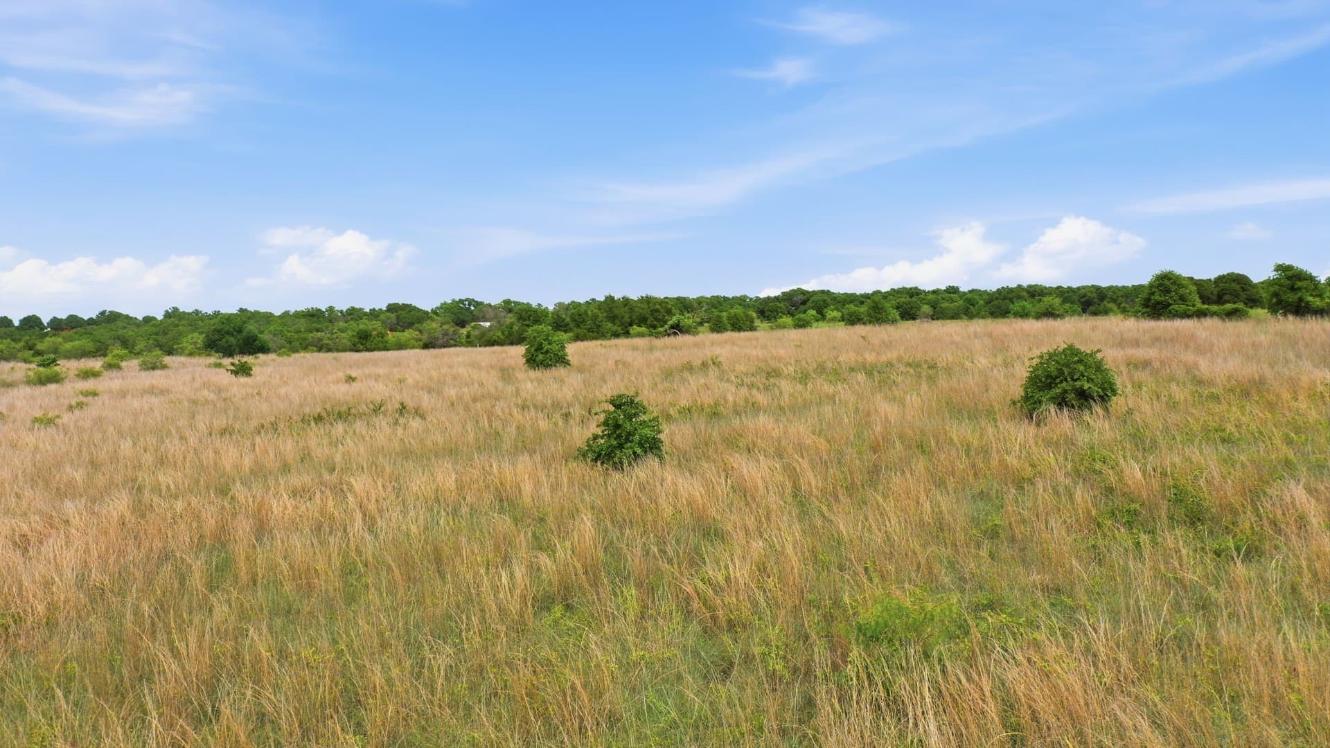5.08 acres in Parker County - photo 11