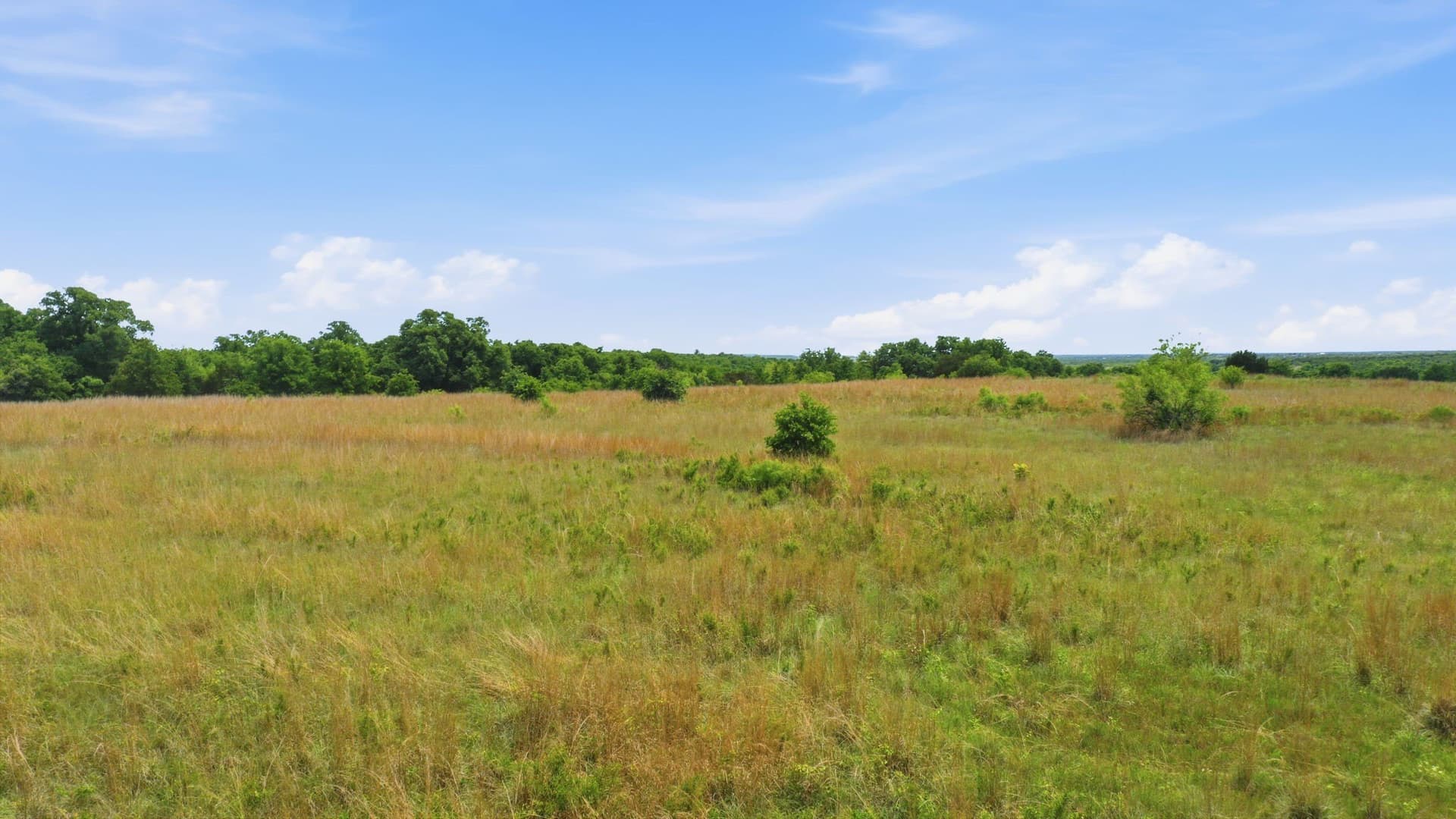 5.08 acres in Parker County - photo 13