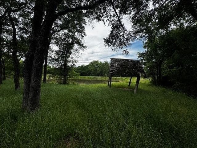 47.78 acres in Freestone County gallery image 4