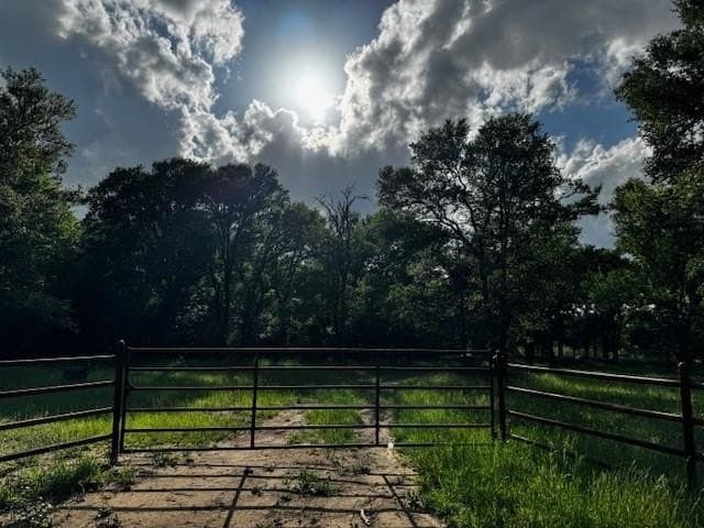 47.78 acres in Freestone County gallery image 2