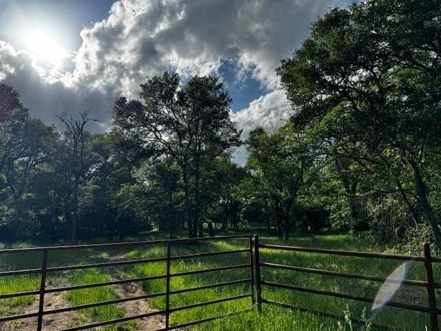 47.78 acres in Freestone County gallery image 3