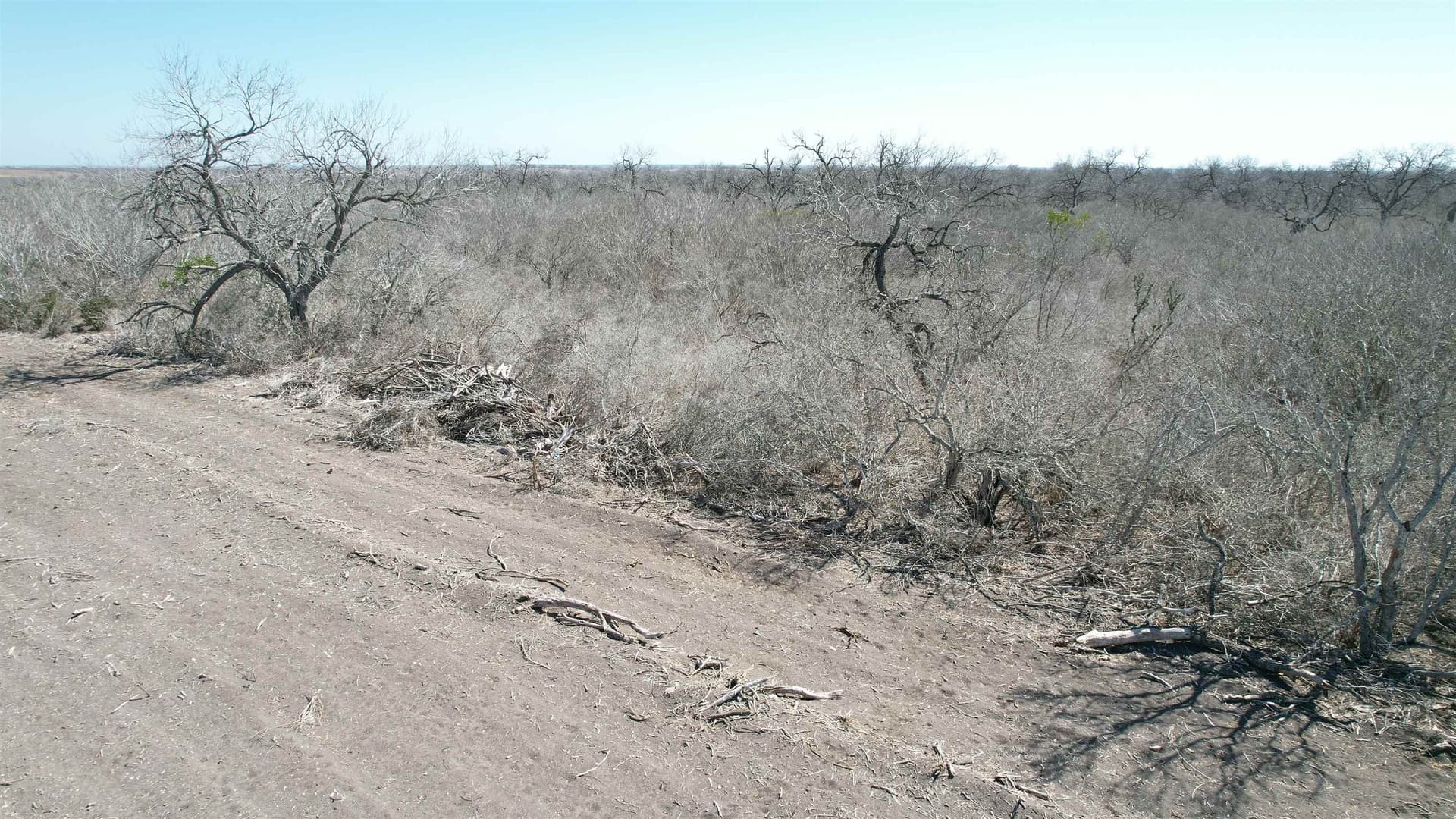 10.01 acres in Live Oak County - photo 9