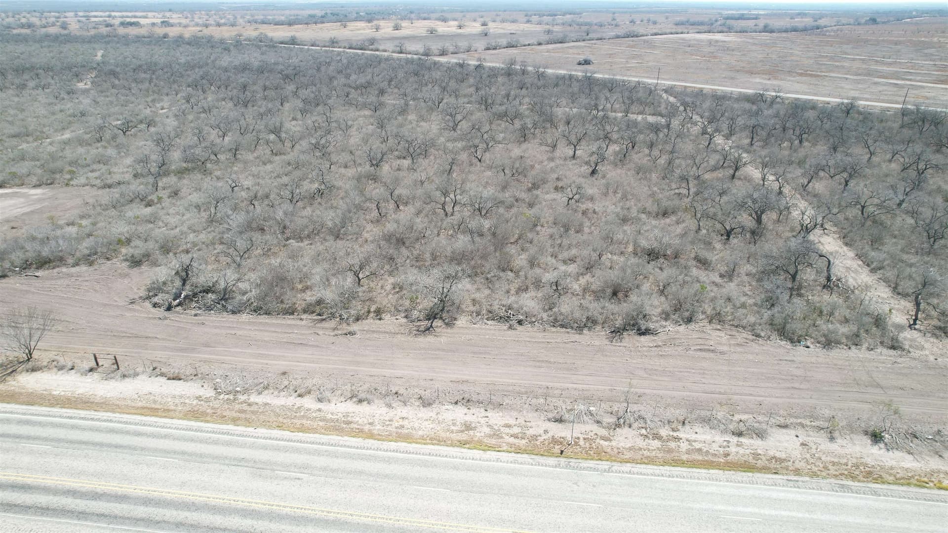 10.01 acres in Live Oak County - photo 8