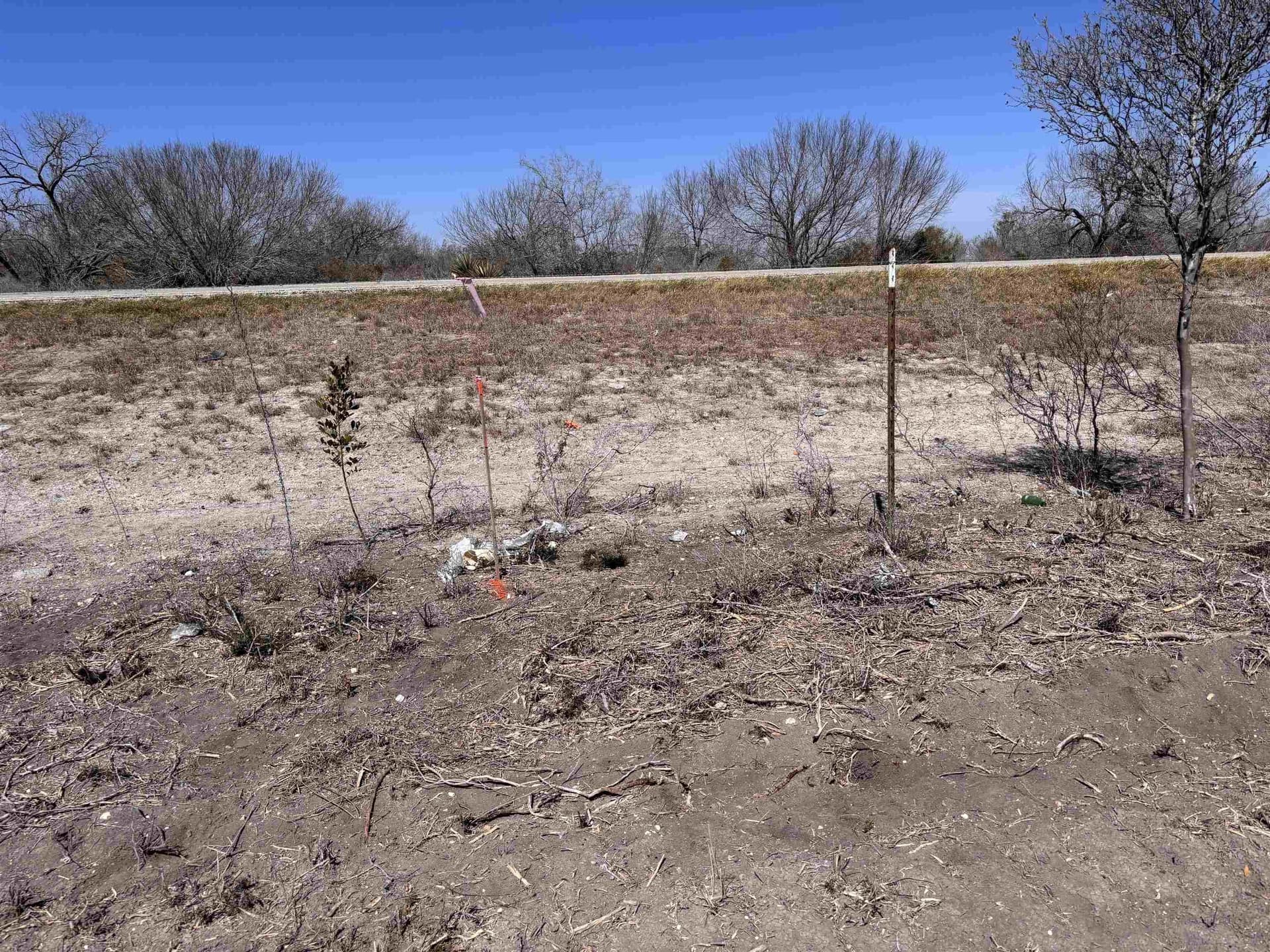 10.01 acres in Live Oak County - photo 12