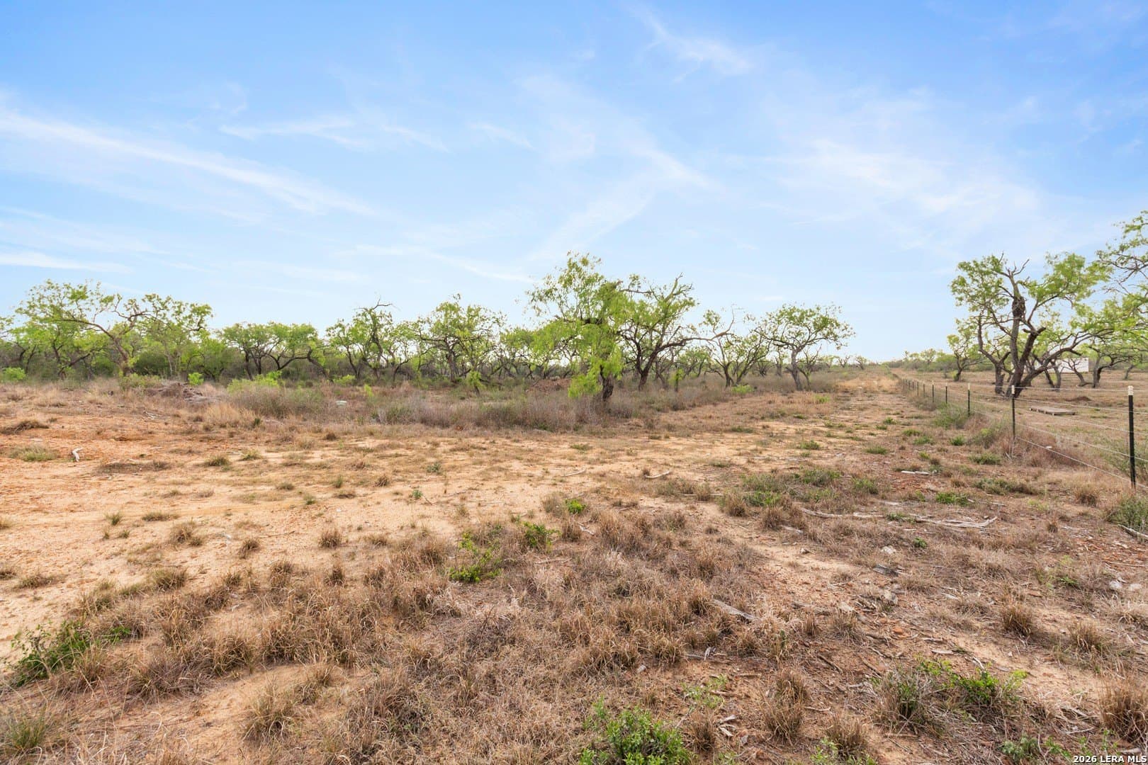 5.5 acres in Wilson County - photo 9