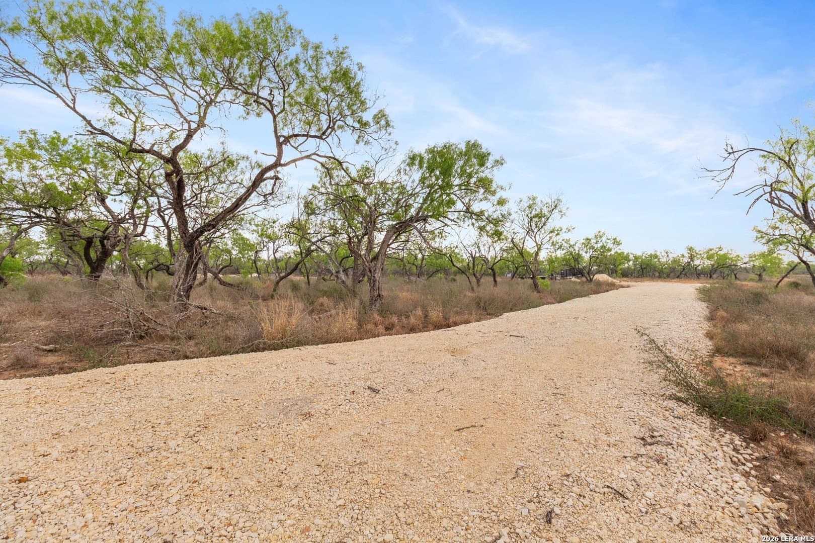 5.5 acres in Wilson County - photo 11